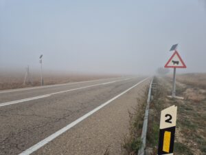 Sistema FuturaDAC de detección de animales en carretera instalado en Alcañiz, señal luminosa activada en la N-232