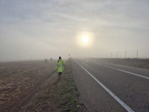 Sistema FuturaDAC de detección de animales en carretera instalado en Alcañiz, señal luminosa activada en la N-232