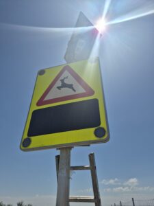 Sistema FuturaDAC de detección de animales en carretera instalado en Alcañiz, señal luminosa activada en la N-232