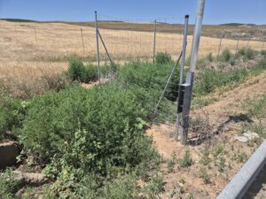 Sistema FuturaDAC de detección de animales en carretera instalado en Alcañiz, señal luminosa activada en la N-232